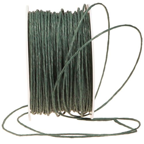 Prodotto Filo di carta avvolto Ø2mm 100m Verde