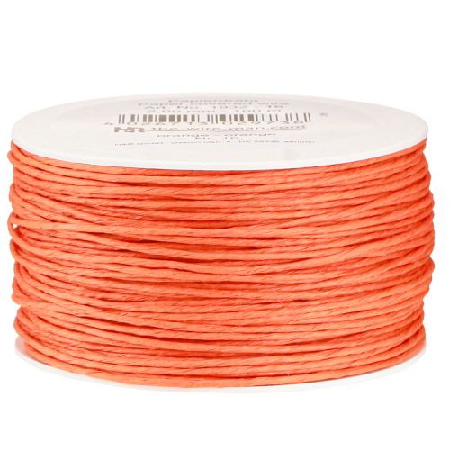 Floristik24 Filo di carta avvolto Ø2mm 100m Arancione