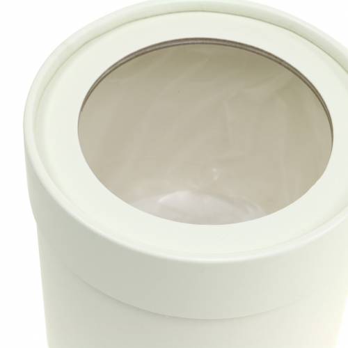 Prodotto Fioriera rotonda in cartone crema Ø10/12 cm set da 2