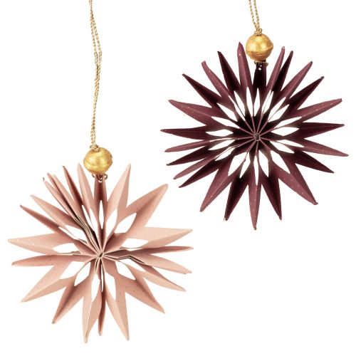 Stelle di carta, rosa bordeaux, da appendere, Ø10cm, 4 pezzi