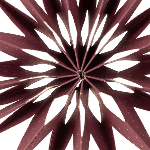 Prodotto Stelle di carta, rosa bordeaux, da appendere, Ø10cm, 4 pezzi