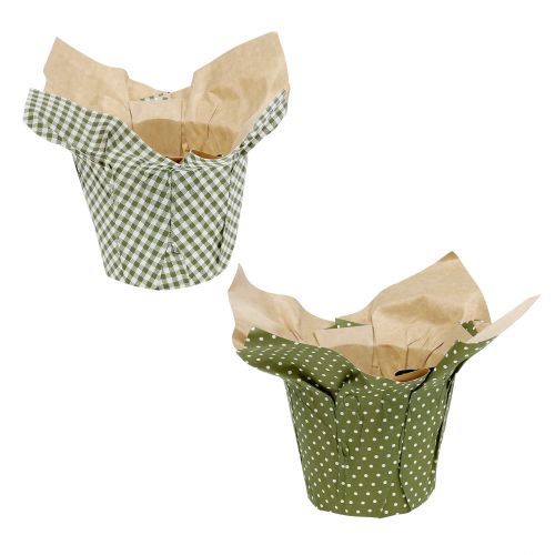Floristik24 Vaso di carta con motivo verde-bianco Ø9,5 cm 12 pz
