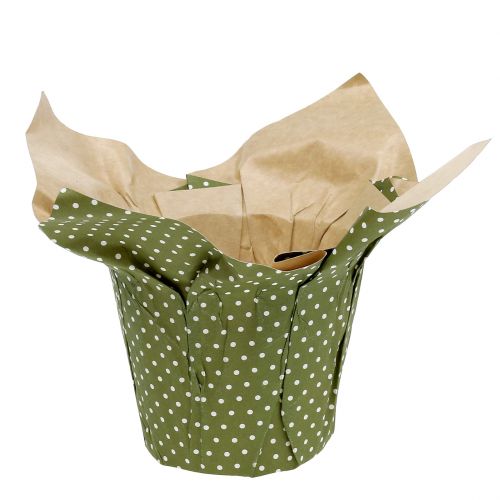 Prodotto Fioriera di carta fantasia verde-bianco Ø11,5 cm 8 pz