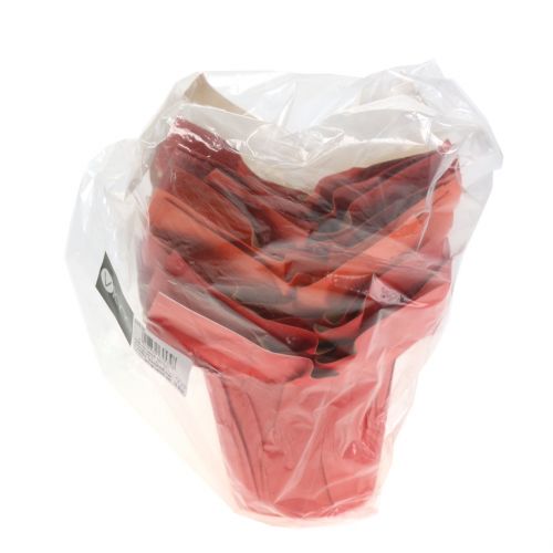Floristik24 Fioriera in carta arancione / rossa Ø10cm 12 pezzi