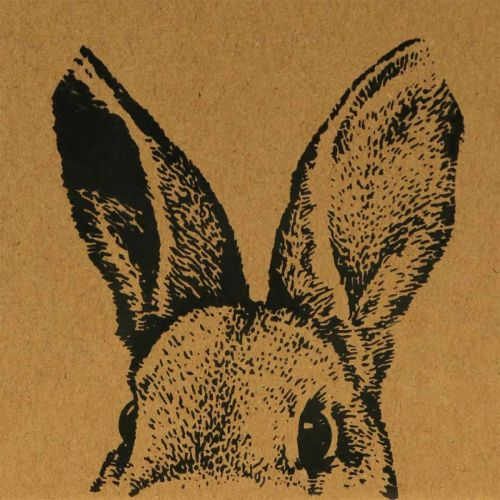 Sacchetto regalo Sacchetto di carta pasquale coniglietto marrone 16×6,5×20 cm 6 pezzi