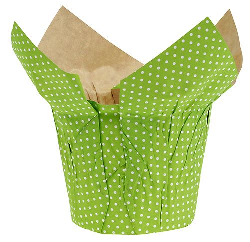 Floristik24 Vaso di carta Ø10cm H8cm verde 8pz