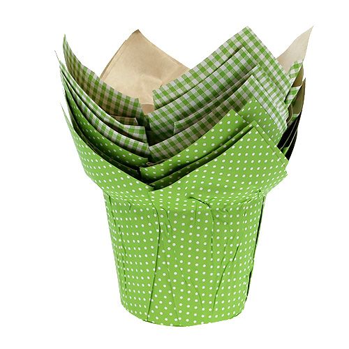 Floristik24 Vaso di carta Ø10cm H8cm verde 8pz