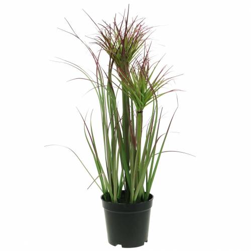 Floristik24 Erba artificiale in vaso Verde, rosso porpora 45 cm