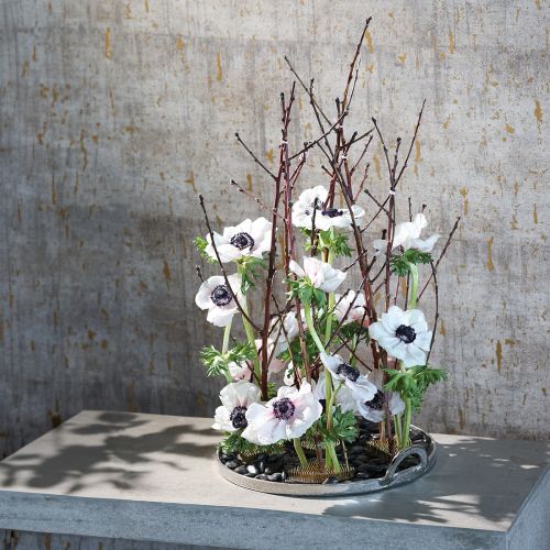 Prodotto Riccio Kenzan Ikebana Rettangolare Argento Ottone 60×45mm