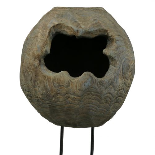 Prodotto Scultura in legno decorativo palla di paulownia H68cm
