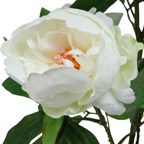 Prodotto Paeonia artificiale, peonia in vaso, pianta decorativa fiori bianchi H57cm
