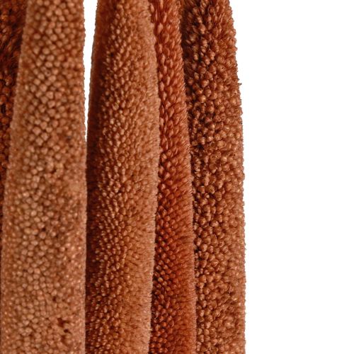 Prodotto Canne decorative di miglio perlato Babala Millet Marrone 70 cm 10 pz