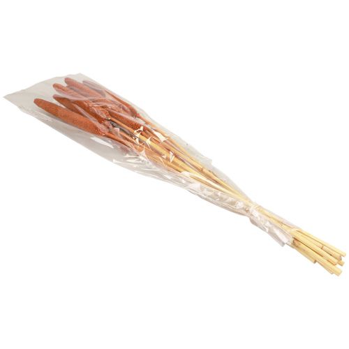 Prodotto Canne decorative di miglio perlato Babala Millet Marrone 70 cm 10 pz