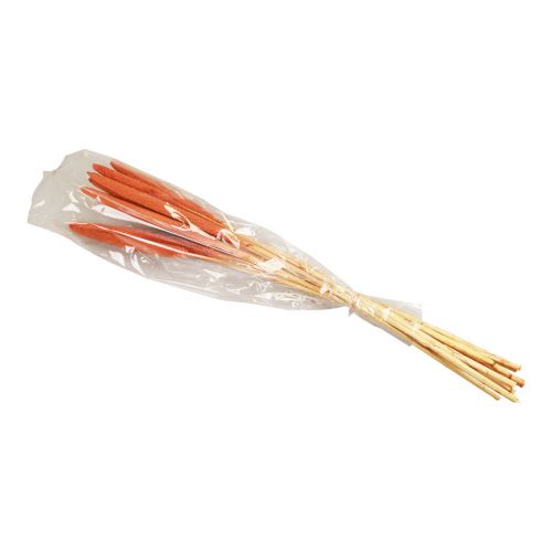 Prodotto Canne di miglio perlato Babala miglio arancione 70 cm 10 pz