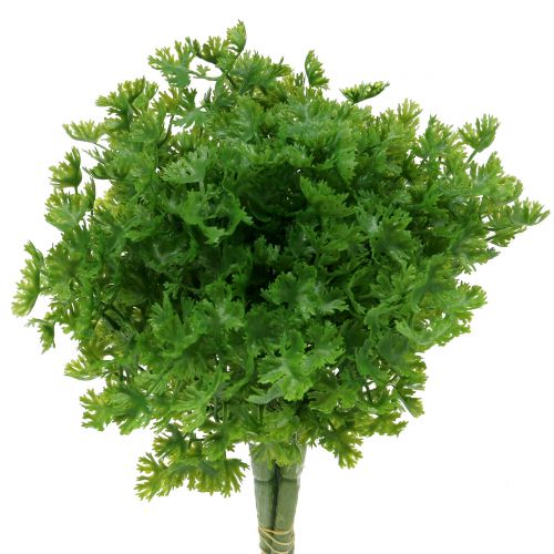 Floristik24 Prezzemolo artificiale verde 26cm 3pz