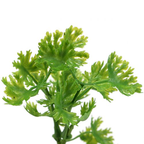 Floristik24 Prezzemolo artificiale verde 26cm 3pz