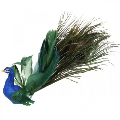 Floristik24 Uccello del paradiso, pavone da agganciare, uccello piuma, decorazione uccello blu, verde, colorato H8,5 L29cm