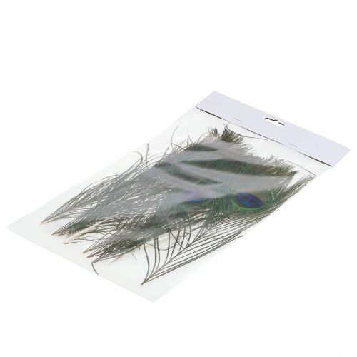 Floristik24 Piume di pavone 22 cm - 30,5 cm 12 pezzi