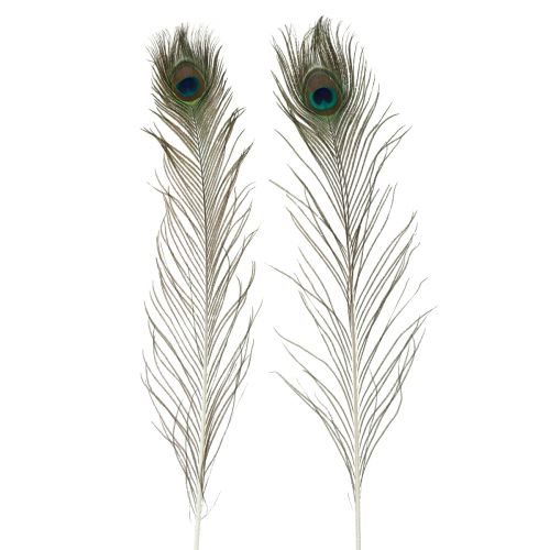 Floristik24 Decorazione di piume di pavone vere piume di uccello lunghe 70 cm 16 pz