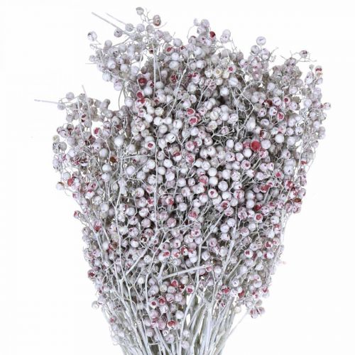 Floristik24 Bacche di pepe innevato, decorazione invernale, fiori secchi, Avvento, pepe rosa bianco lavato 170 g