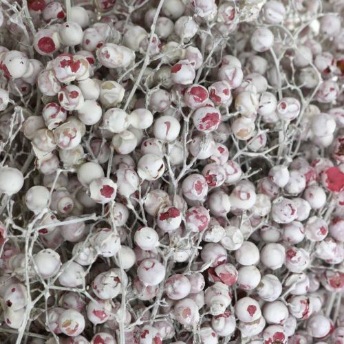 Prodotto Bacche di pepe innevato, decorazione invernale, fiori secchi, Avvento, pepe rosa bianco lavato 170 g