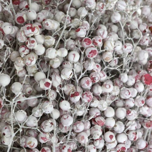 Floristik24 Bacche di pepe innevato, decorazione invernale, fiori secchi, Avvento, pepe rosa bianco lavato 170 g