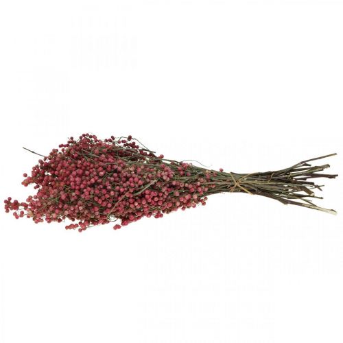 Floristik24 Bacche di peperone, fiori secchi, Avvento, pepe rosa, decorazioni invernali L40–45cm 200g