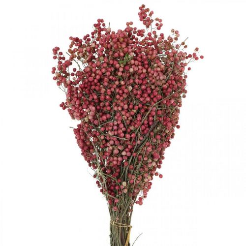 Floristik24 Bacche di peperone, fiori secchi, Avvento, pepe rosa, decorazioni invernali L40–45cm 200g