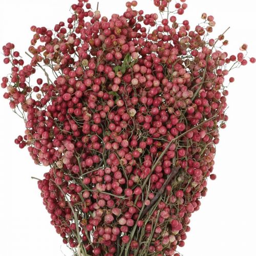 Floristik24 Bacche di peperone, fiori secchi, Avvento, pepe rosa, decorazioni invernali L40–45cm 200g