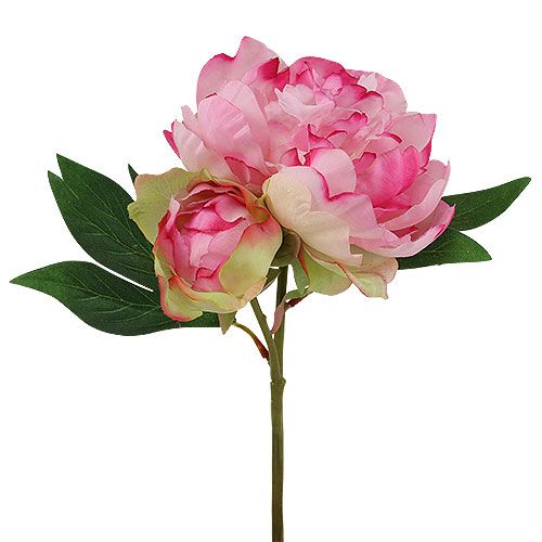 Floristik24 Peonie con bocciolo rosa L30cm 2pz