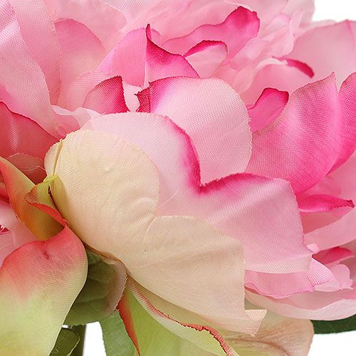 Floristik24 Peonie con bocciolo rosa L30cm 2pz