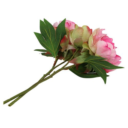 Floristik24 Peonie con bocciolo rosa L30cm 2pz