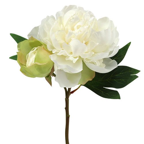 Floristik24 Peonie con bocciolo bianche L30cm 2pz