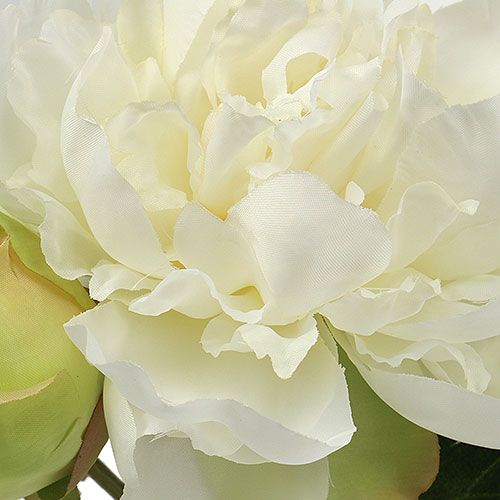 Floristik24 Peonie con bocciolo bianche L30cm 2pz
