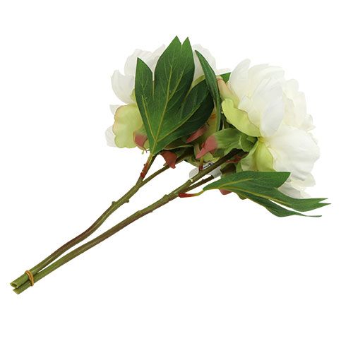 Floristik24 Peonie con bocciolo bianche L30cm 2pz
