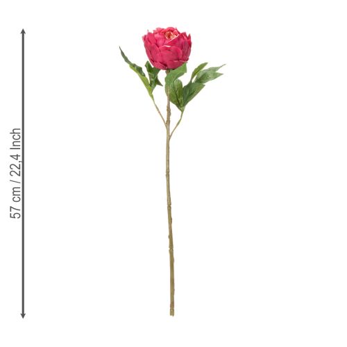 Prodotto Fiore di peonia artificiale per un'elegante decorazione d'interni, 58 cm