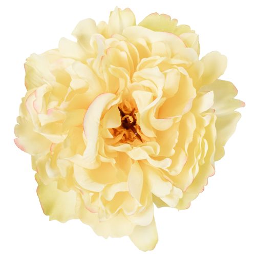 Prodotto Peonia artificiale con grande fiore per un design floreale d'interni senza tempo, 60 cm, 3 pezzi