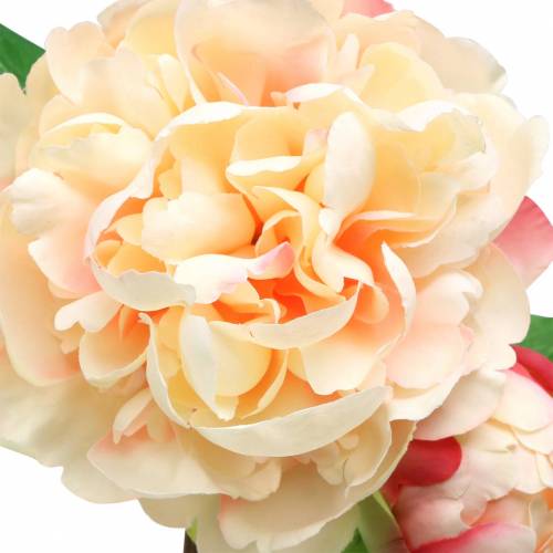 Floristik24 Peonia con fiori e gemme pesca artificiale 70cm