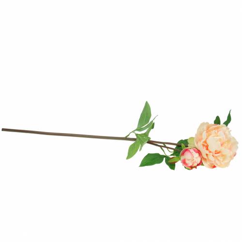 Floristik24 Peonia con fiori e gemme pesca artificiale 70cm