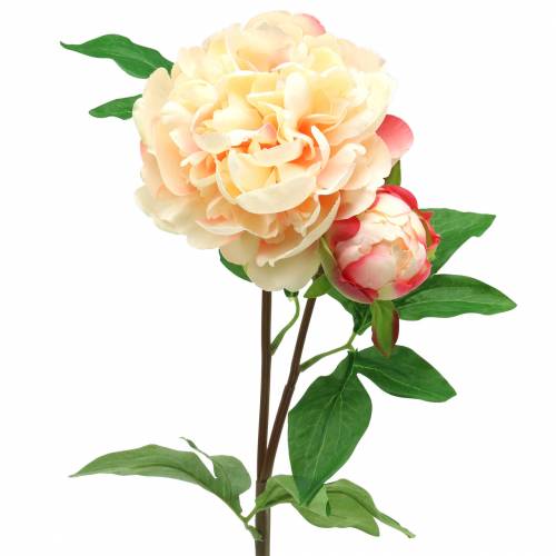 Floristik24 Peonia con fiori e gemme pesca artificiale 70cm