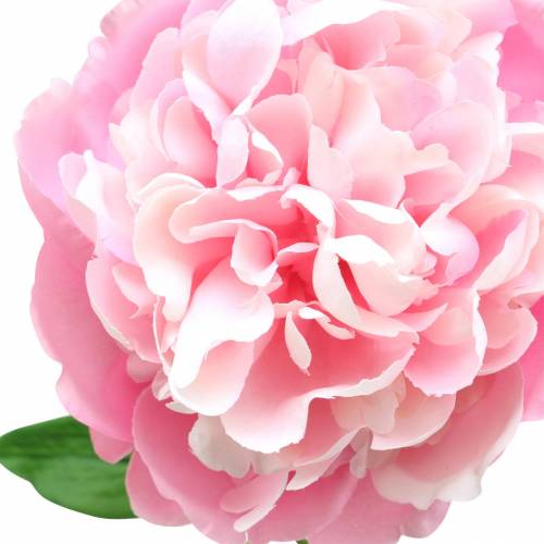Prodotto Peonia artificiale con fiore e bocciolo Rosa 68 cm