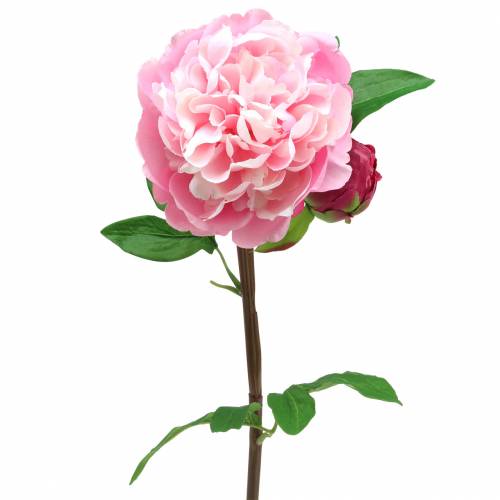 Floristik24 Peonia artificiale con fiore e bocciolo Rosa 68 cm