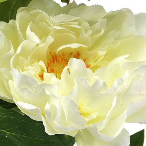 Floristik24 Crema di fiori artificiali di peonia L70cm