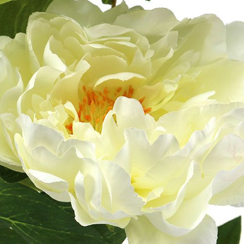 Prodotto Crema di fiori artificiali di peonia L70cm