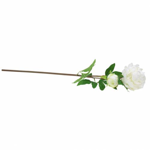 Floristik24 Peonia bianca 72 cm