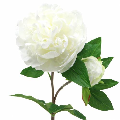 Peonia bianca 72 cm