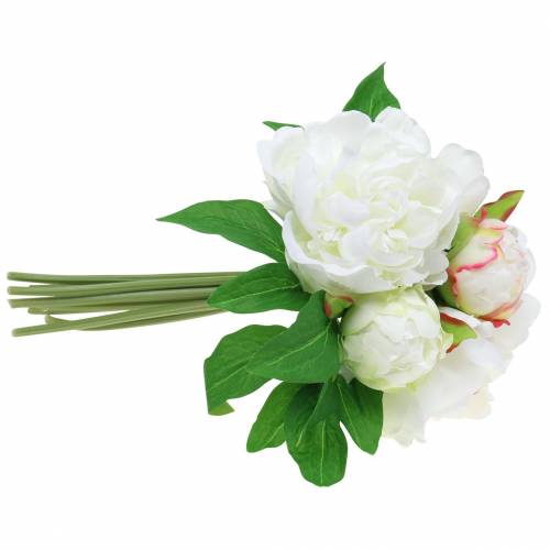 Floristik24 Mazzo di peonia bianco / rosa 27cm 6pz