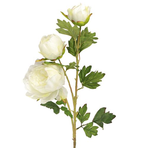 Floristik24 Peonie artificiali con 3 fiori bianco crema 81cm 2pz