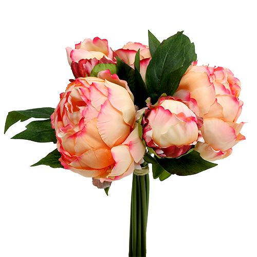 Floristik24 Mazzo di peonia pesca 30 cm