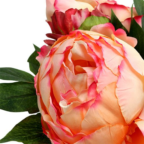 Floristik24 Mazzo di peonia pesca 30 cm